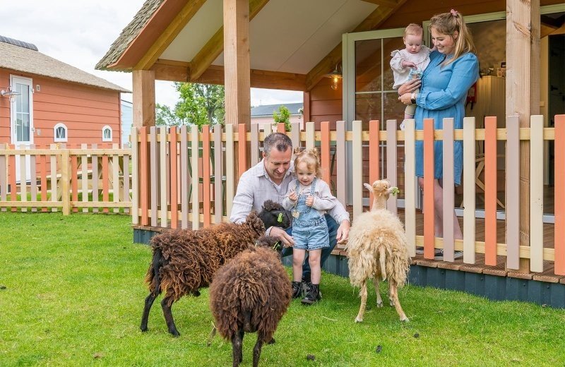 Mike & Molly Schafstall (6 Personen)