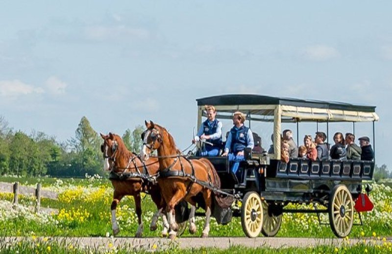 Mögliche Exkursionen und Vermietungen