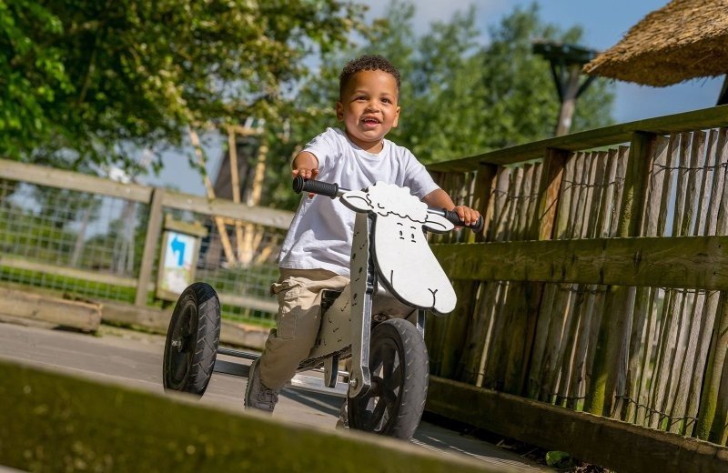 Erlebnisbauernhof Molenwaard