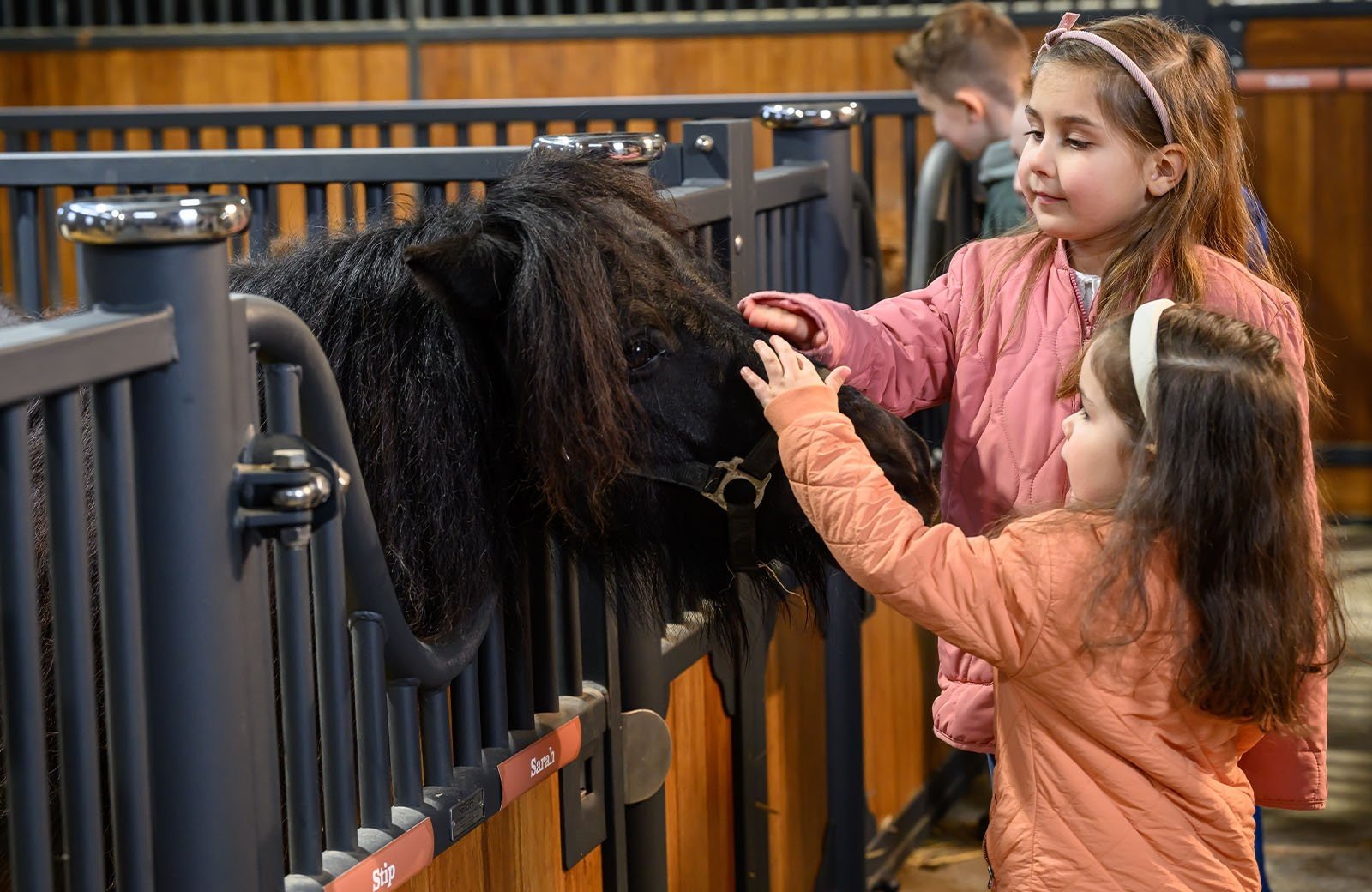 Stip das Pony Ranch