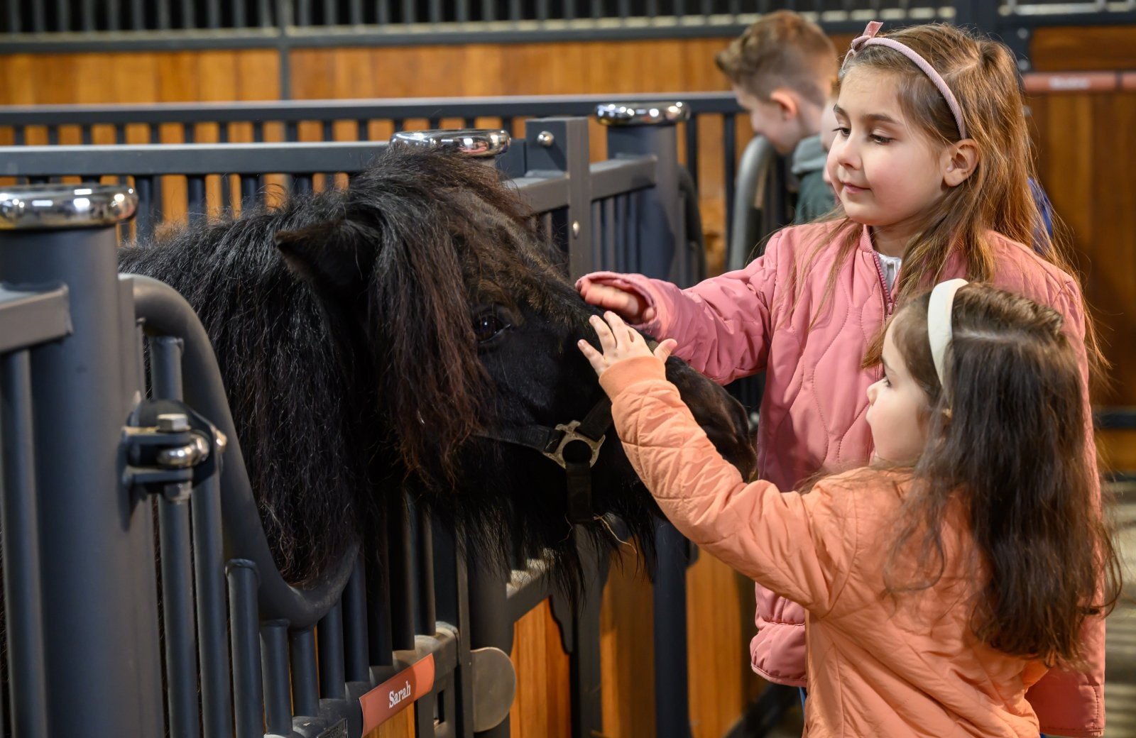 Stip das Pony Ranch
